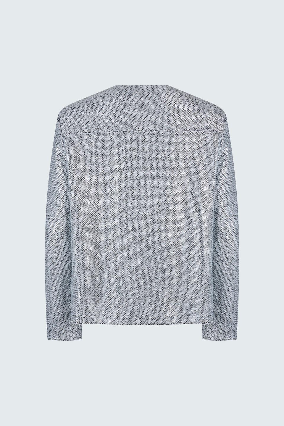 Серебристый жакет Rabe collection