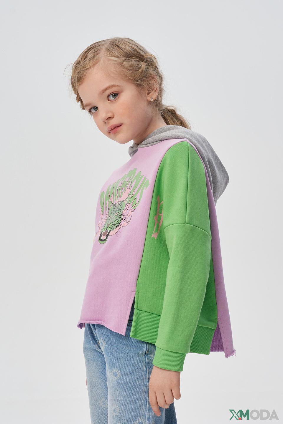 Худи Choupette с тигром, разноцвет