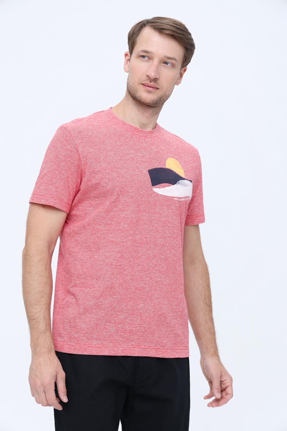 Футболка Tom Tailor полоска с принтом