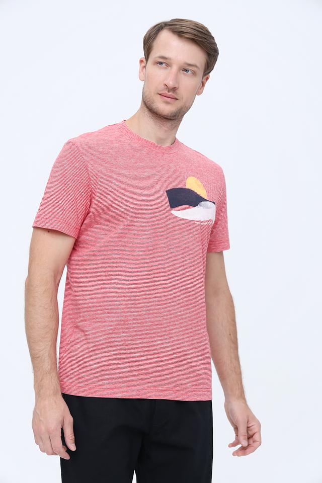 Футболка Tom Tailor полоска с принтом