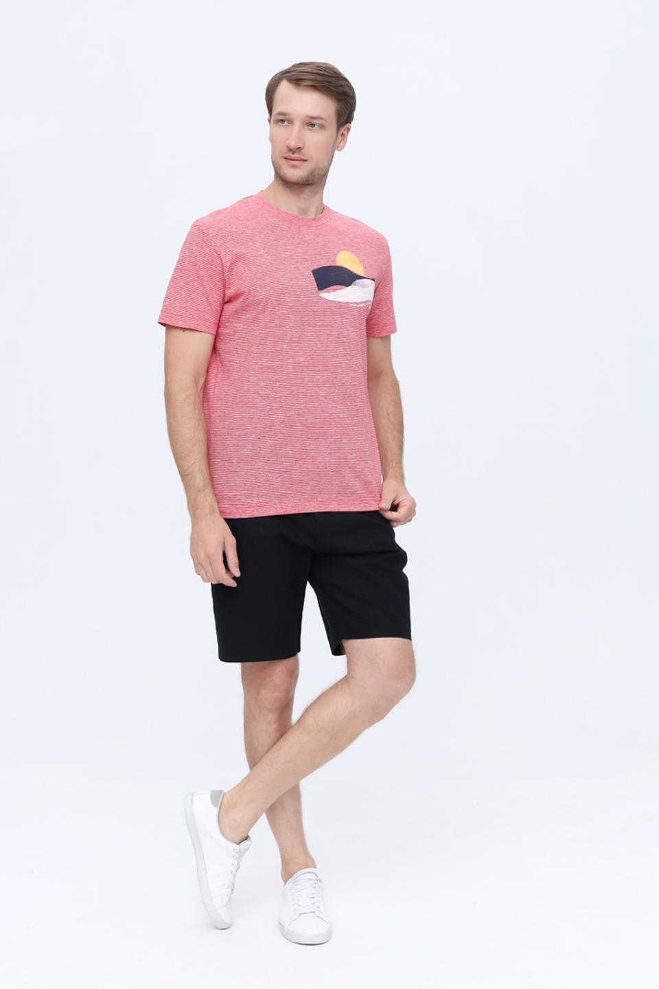 Футболка Tom Tailor полоска с принтом