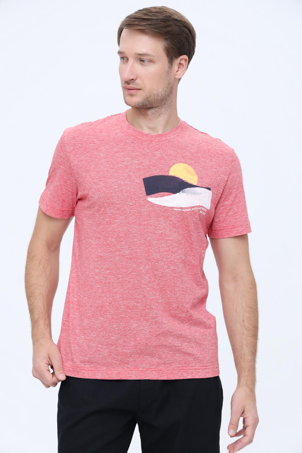 Футболка Tom Tailor полоска с принтом