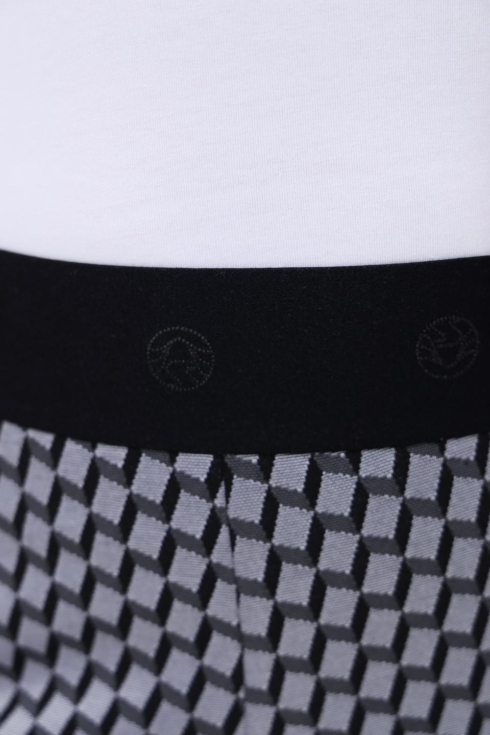 Брюки Ulli Ehrlich Sportalm с принтом серые