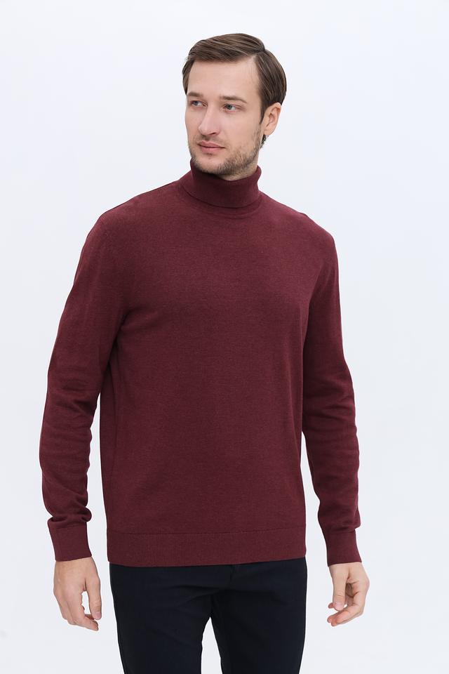 Водолазка Tom Tailor бордовая