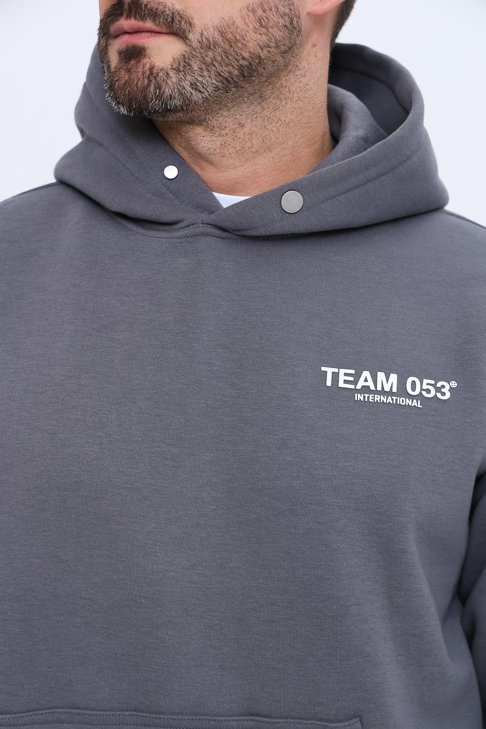 Толстовка Alcott серый с логотипом