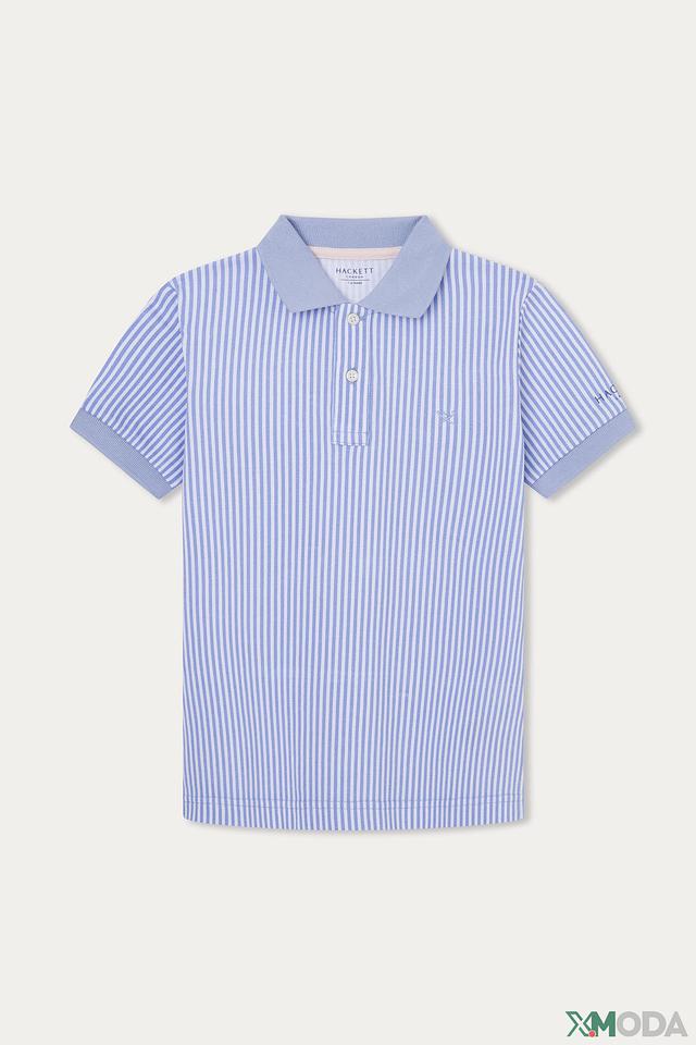 Поло Hackett London в полоску голубой