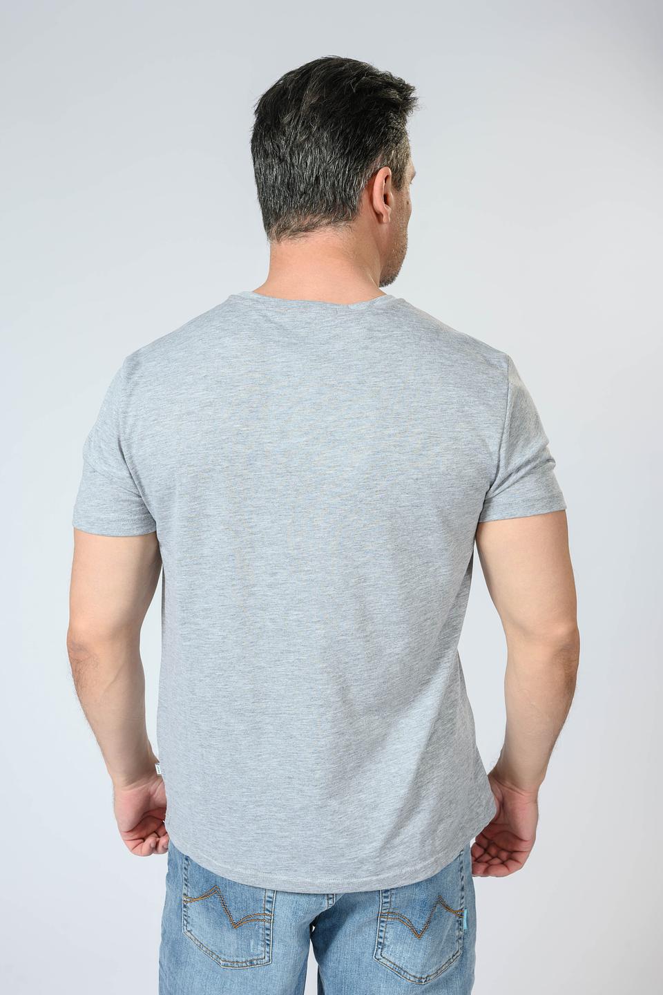 Футболка Gaudi мужская серая с принтом