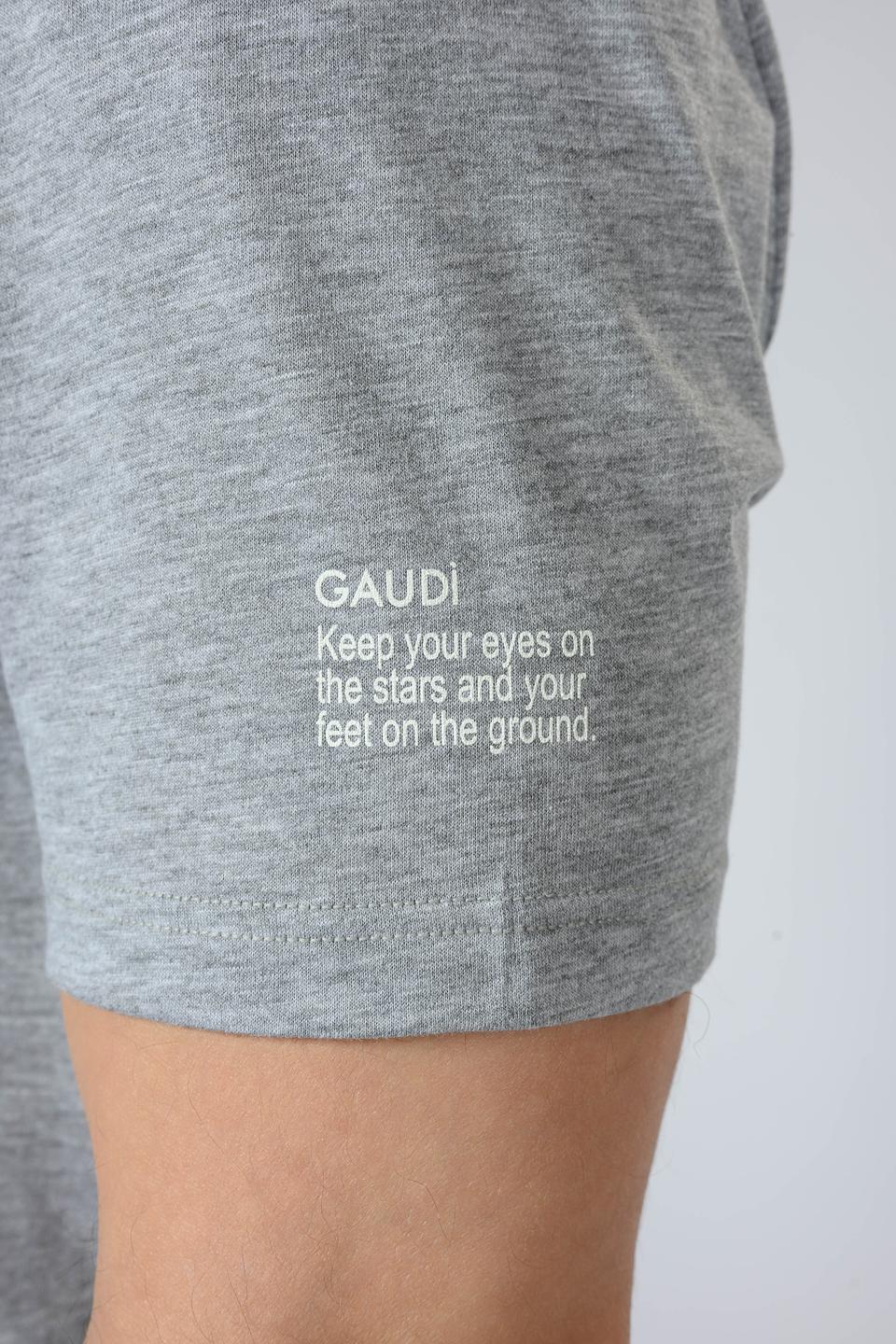 Футболка Gaudi мужская серая с принтом