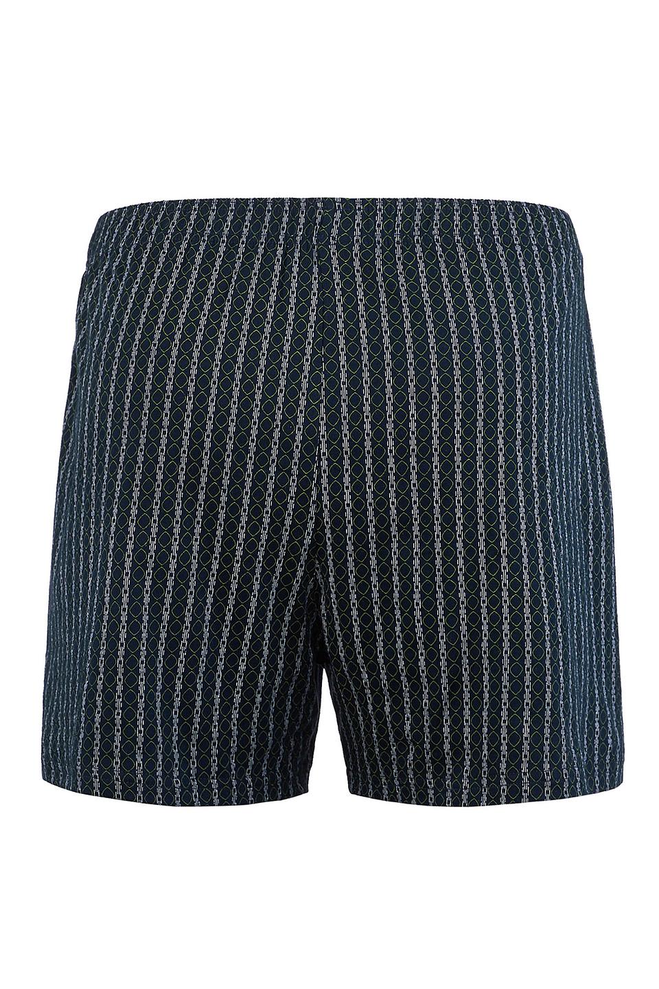 Трусы Lowry мужские в полоску синие