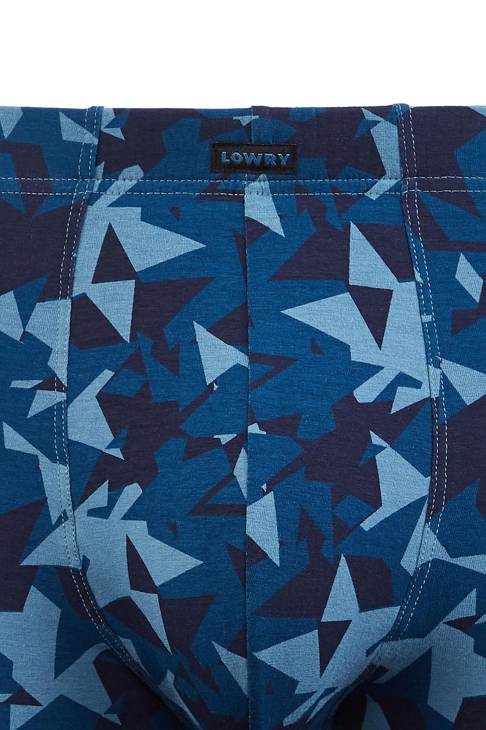 Трусы Lowry мужские в геопринте