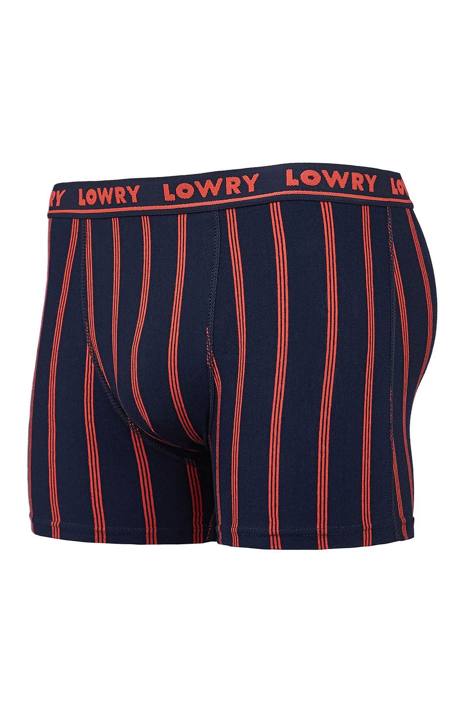 Трусы-боксеры Lowry в полоску