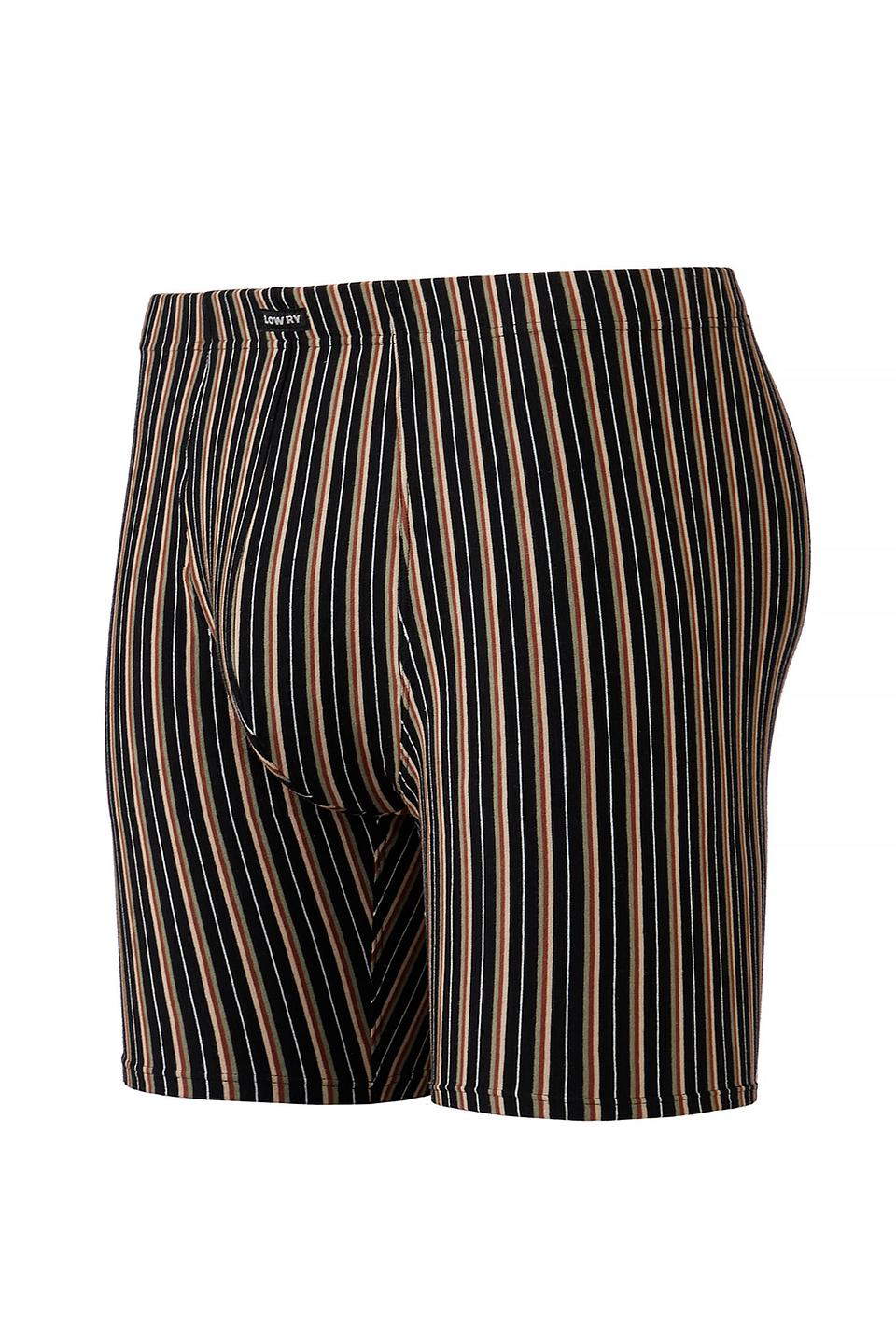 Трусы-боксеры Lowry в полоску