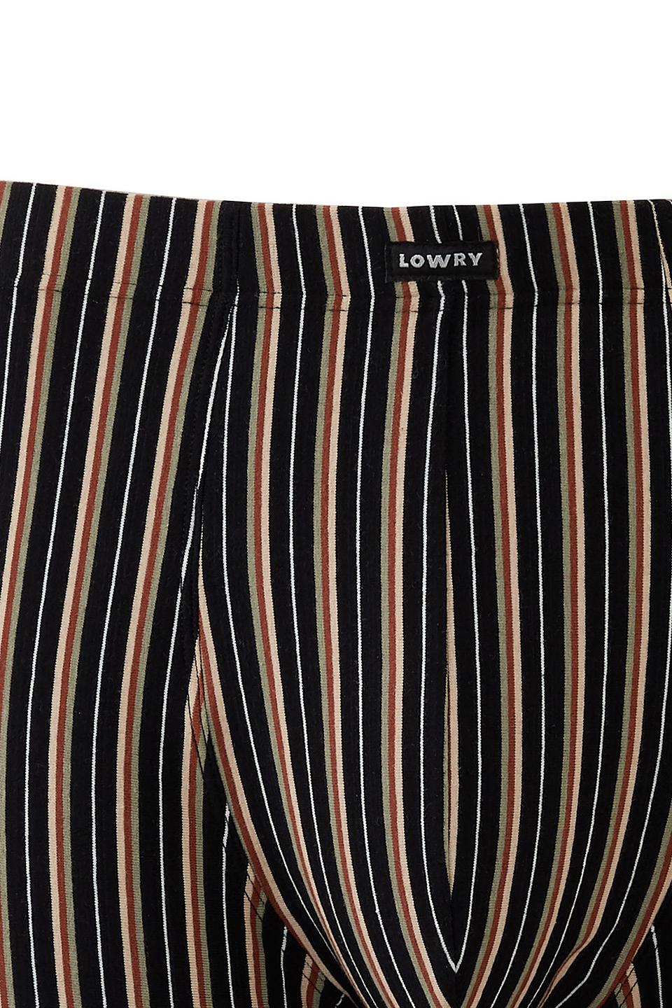 Трусы-боксеры Lowry в полоску