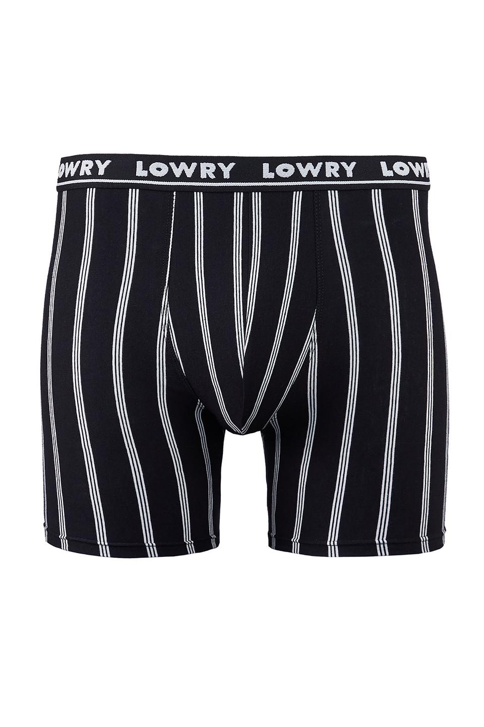 Трусы-боксеры Lowry в полоску чёрно-белые