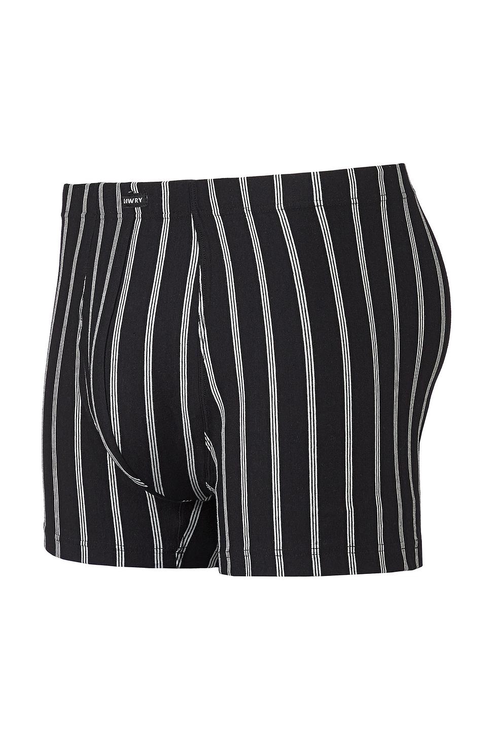 Трусы-боксеры Lowry в полоску