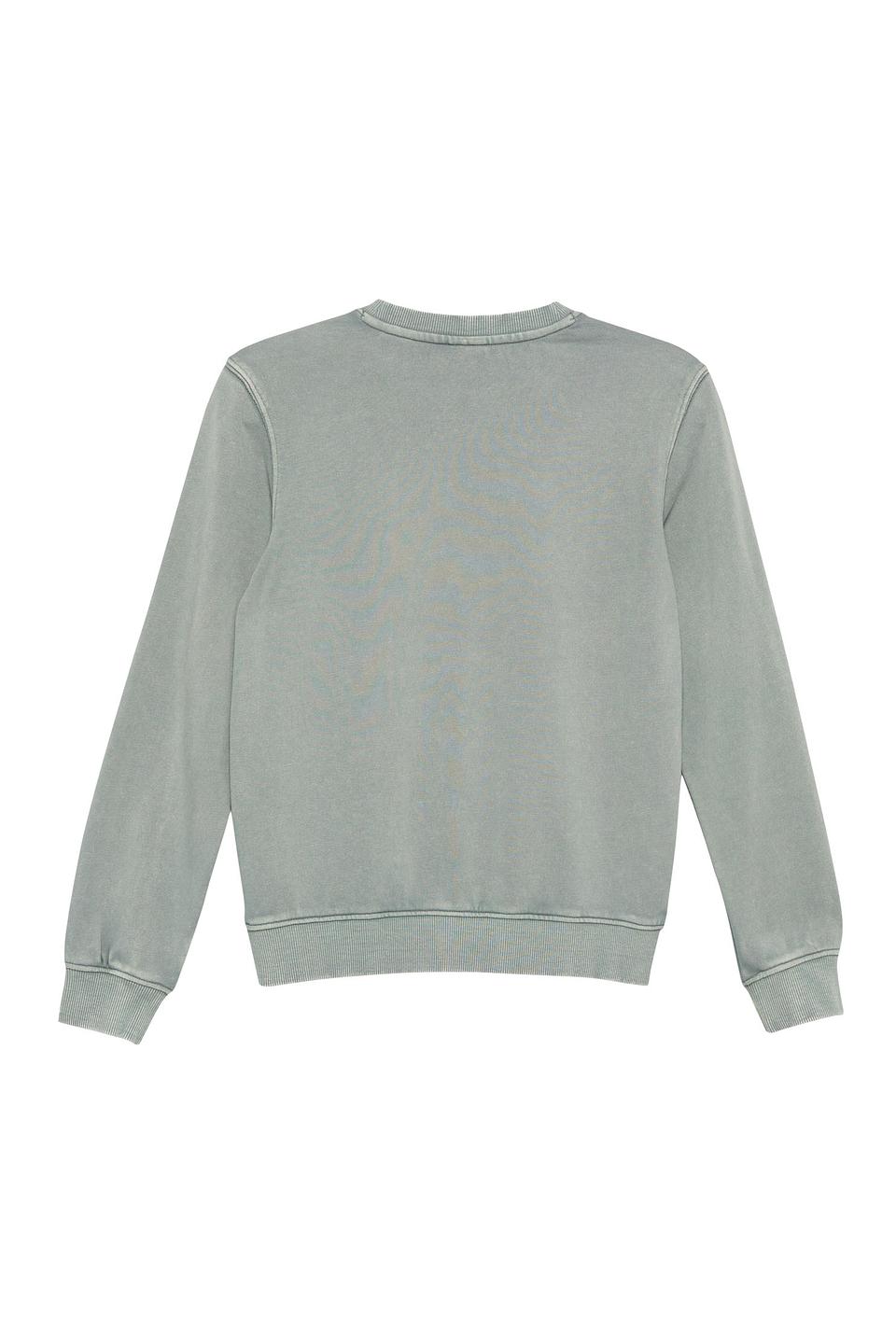 Джемпер s.Oliver серый с принтом